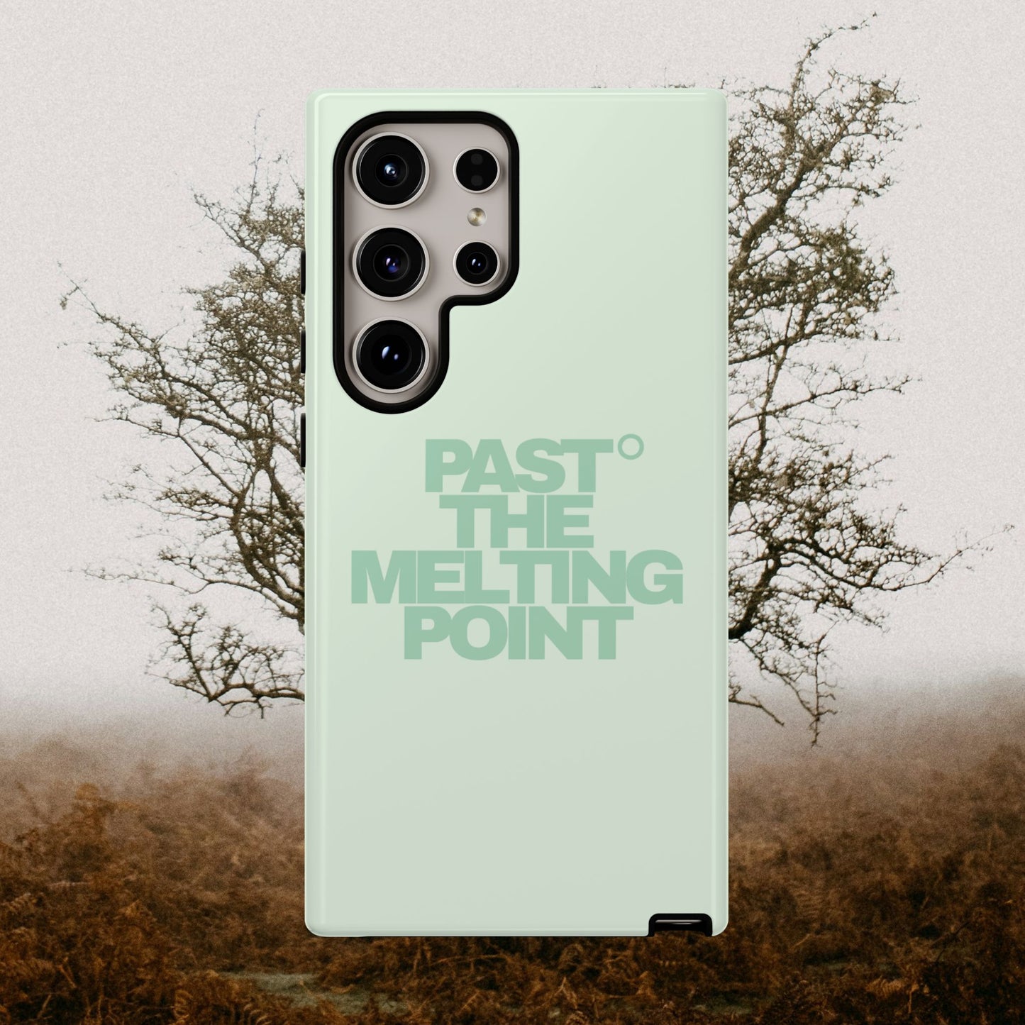 Past the Melting Point | Wilting Willow
