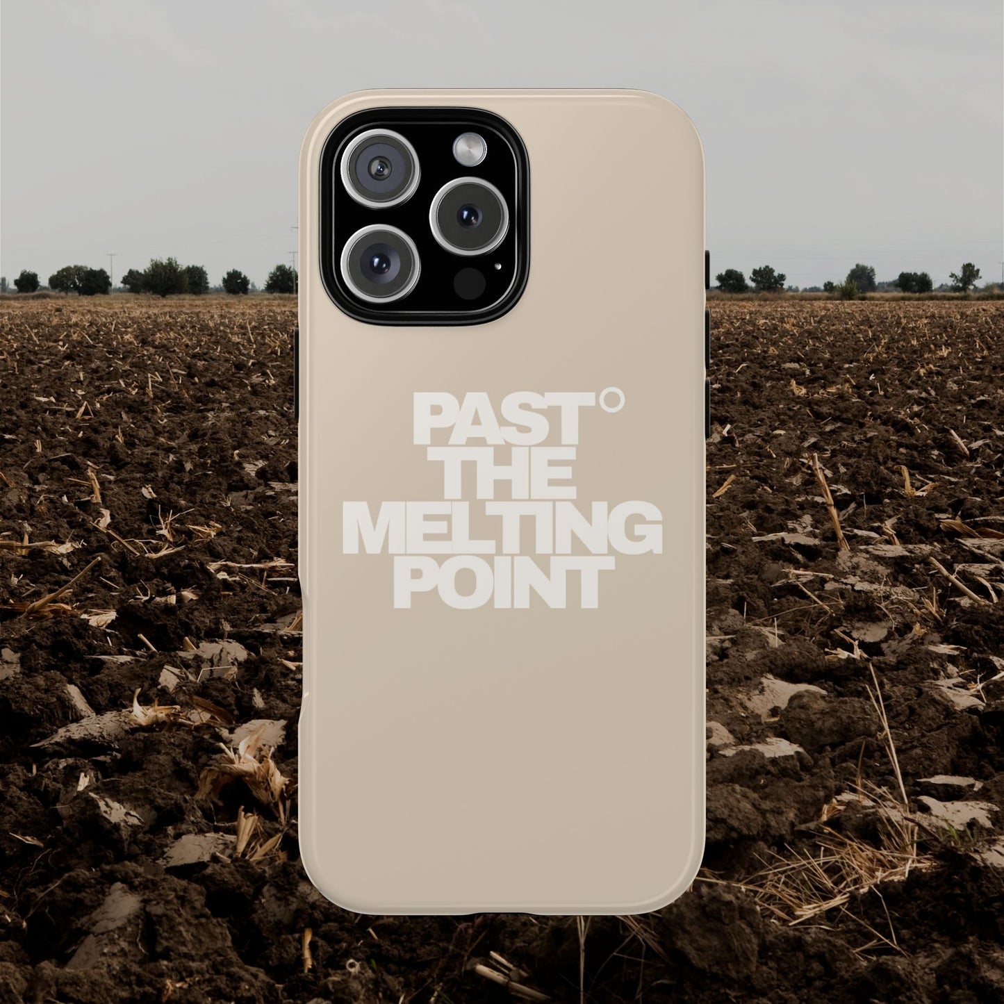 Past the Melting Point | Wasteland Wheat