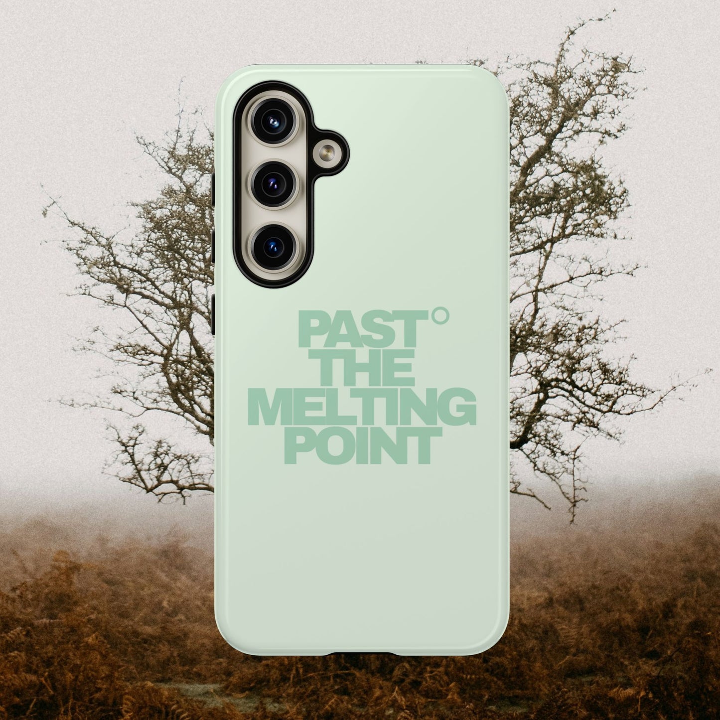 Past the Melting Point | Wilting Willow