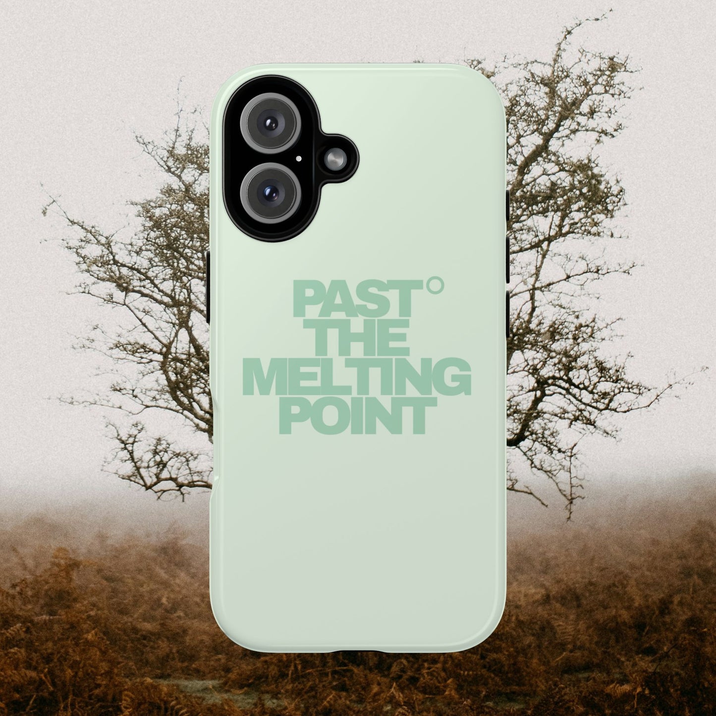 Past the Melting Point | Wilting Willow