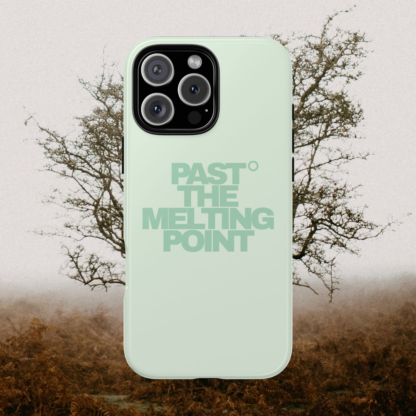 Past the Melting Point | Wilting Willow
