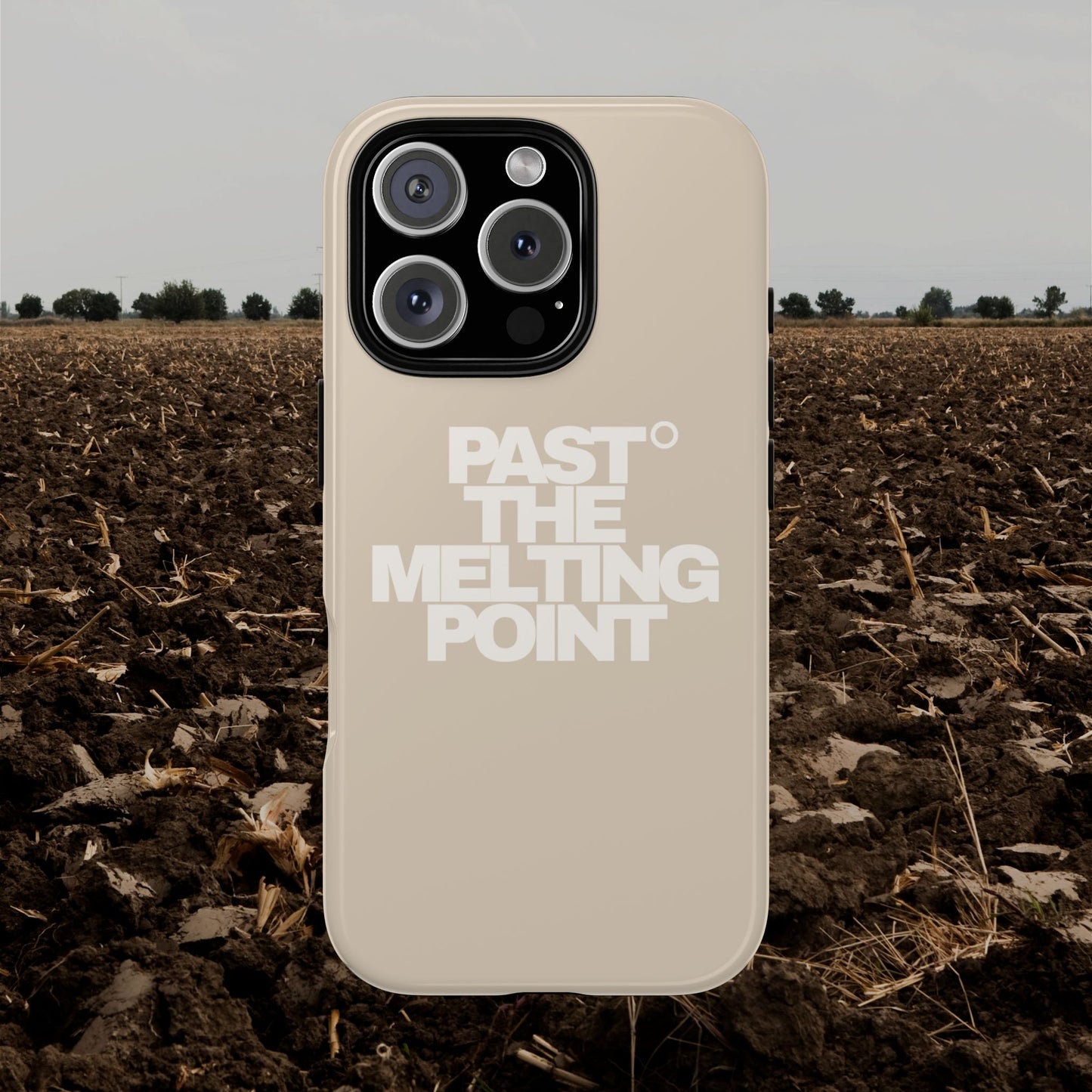 Past the Melting Point | Wasteland Wheat