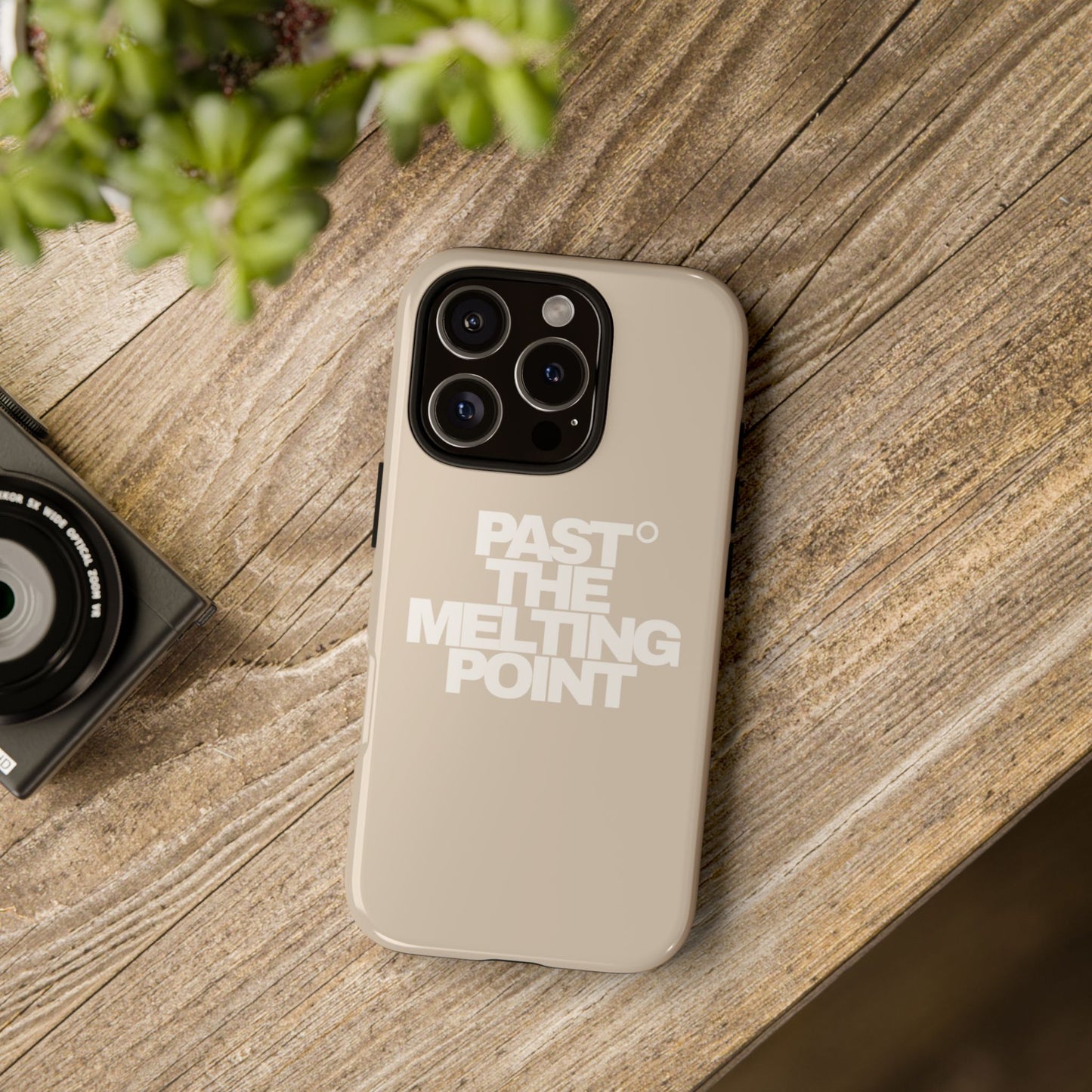 Past the Melting Point | Wasteland Wheat