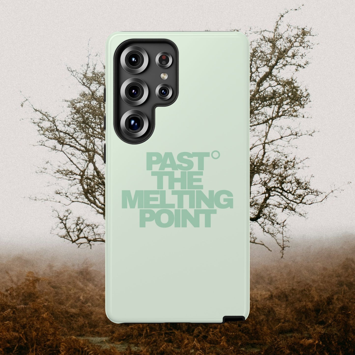 Past the Melting Point | Wilting Willow