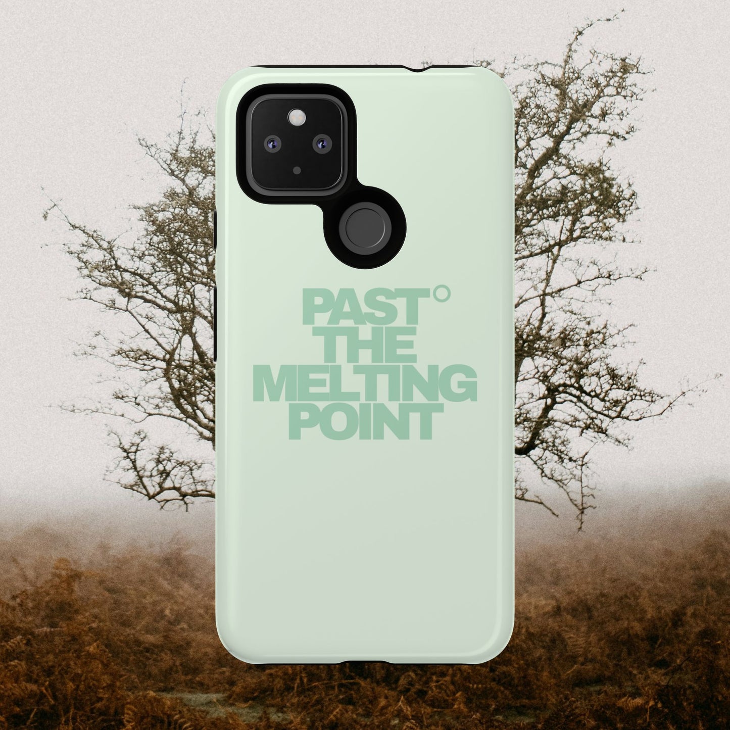 Past the Melting Point | Wilting Willow