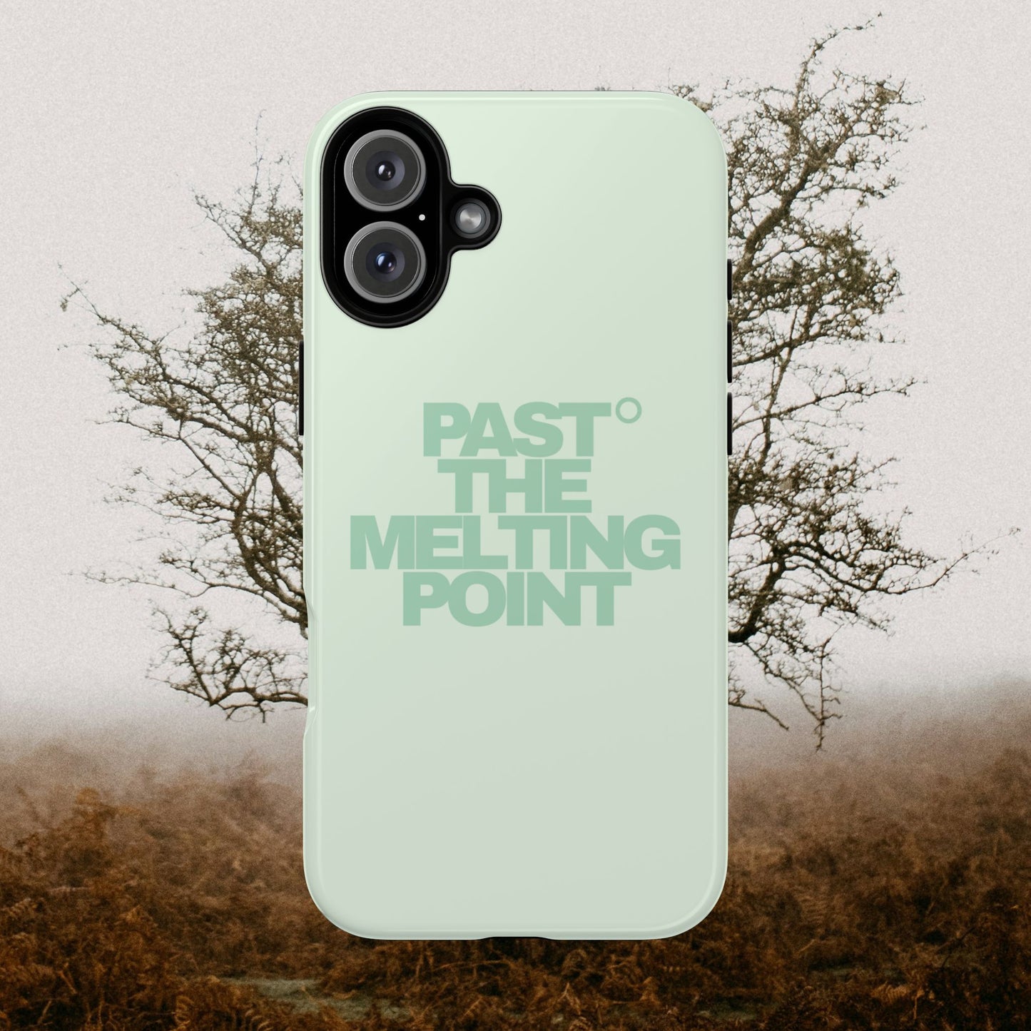 Past the Melting Point | Wilting Willow