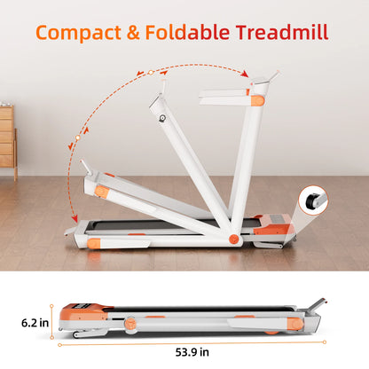 At Home Smart Workout Walking Pad